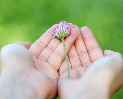 What_can_we_give-